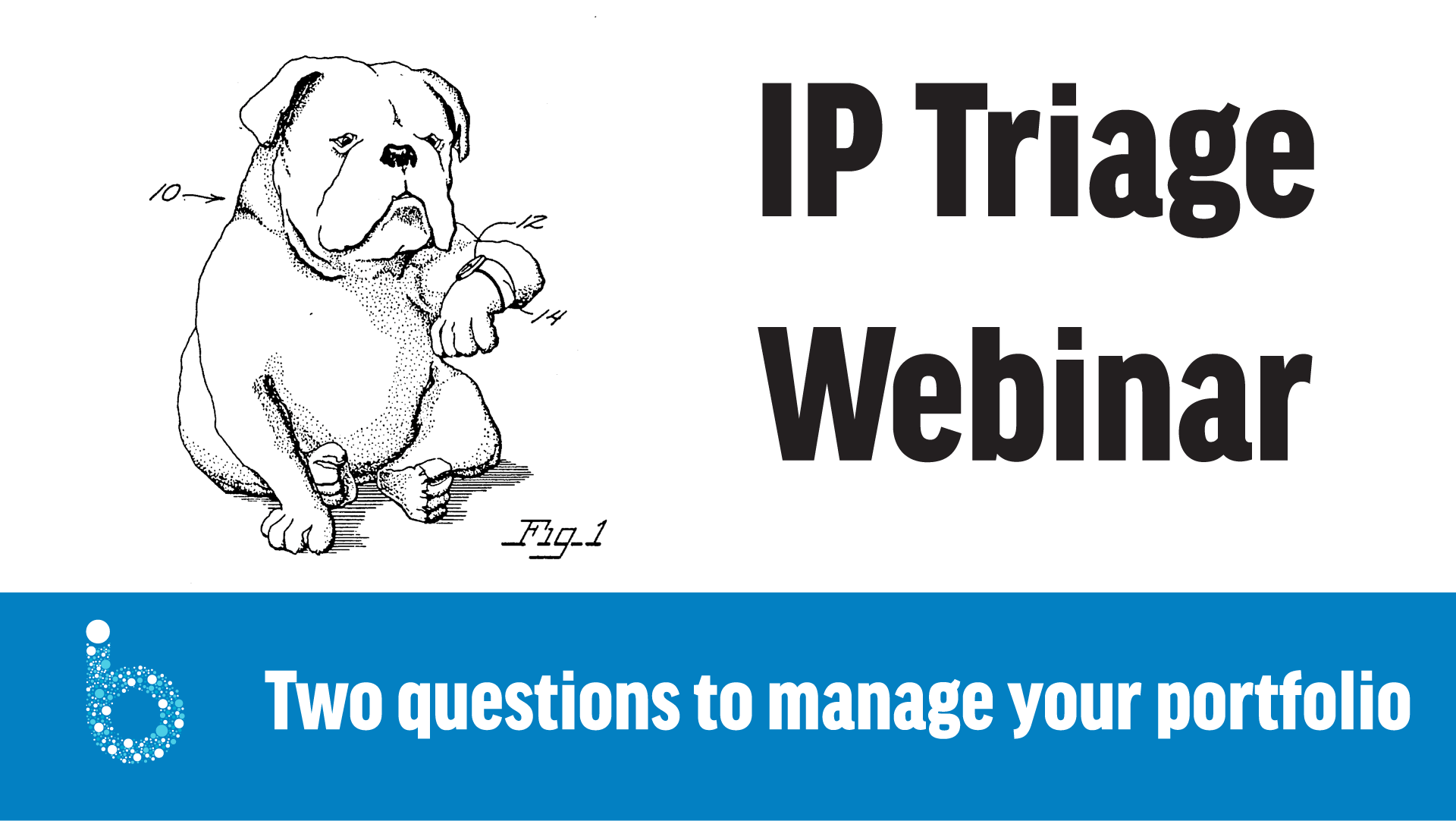 Webinar Ip Triage Managing Your Portfolio Patent Myths